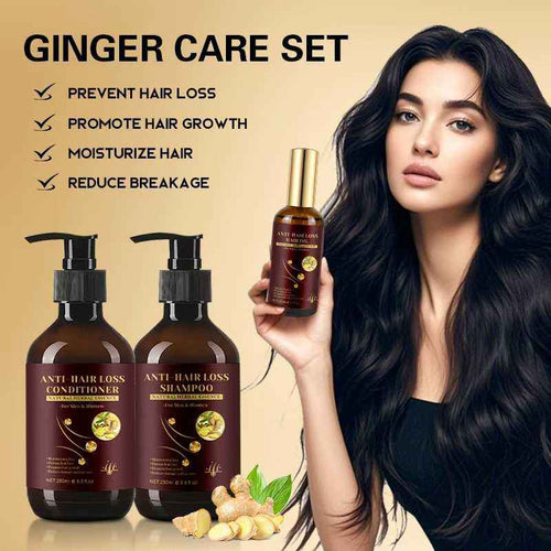 Customized Logo Herbal Ginger Oil Prevent Hair Loss Smoothing Oil Control Shampoo Conditioner Kit for Hair Growth